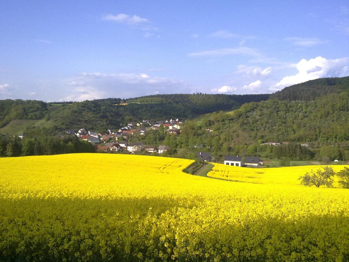 Ferienwohnungen Naheliebe Im Hunsrueck & Naheland Barenbach Luaran gambar